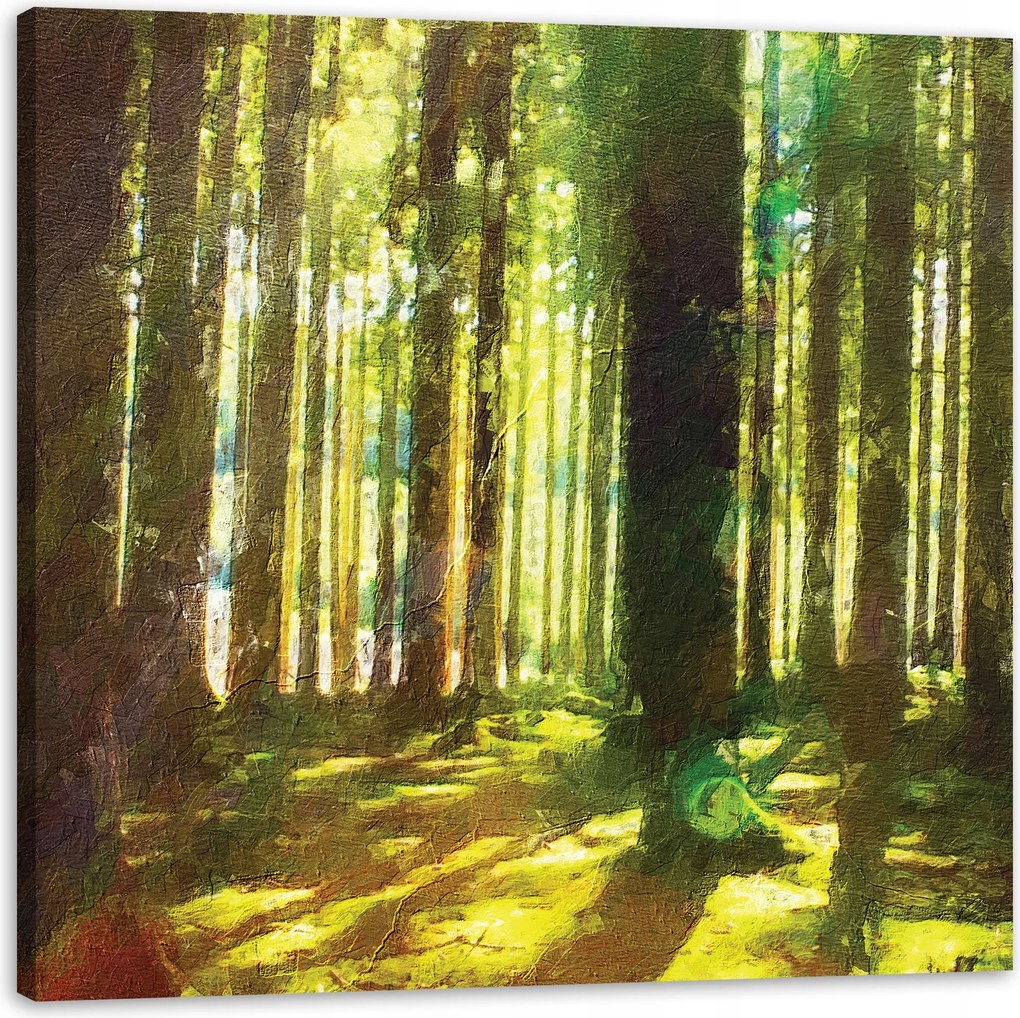 Vászonkép Olajerdő Fák Fény Természet 90X90 cm