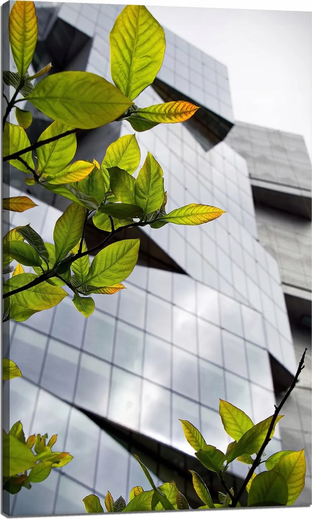 Vászonkép Építészet Modern épület 60x100 cm