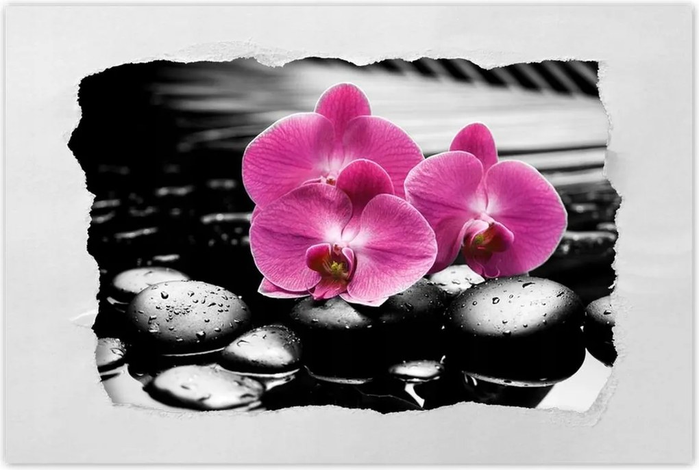 Poszterek 120x80 Lila leander