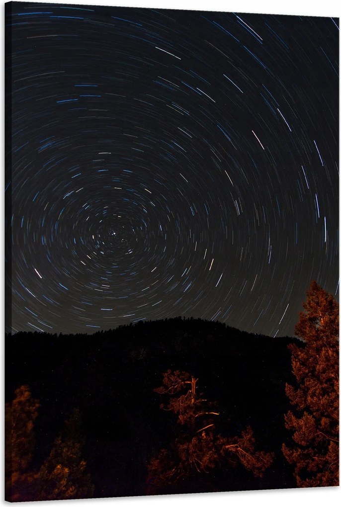 Vászonkép Természet Erdő Éjszaka Hegyek Absztrakt Fák 60x90