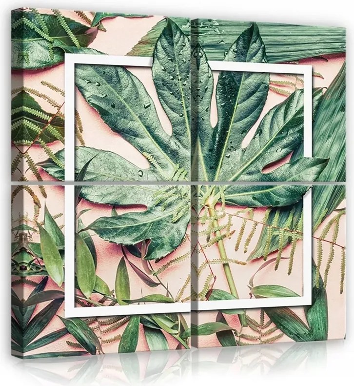 Vászonkép 50x50 Trópusi levelek botanika természet frissesség zöld egzotikus