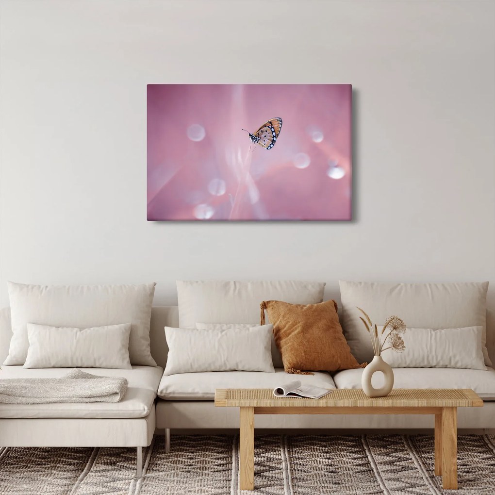 Kép - Pillangó (90x60 cm)
