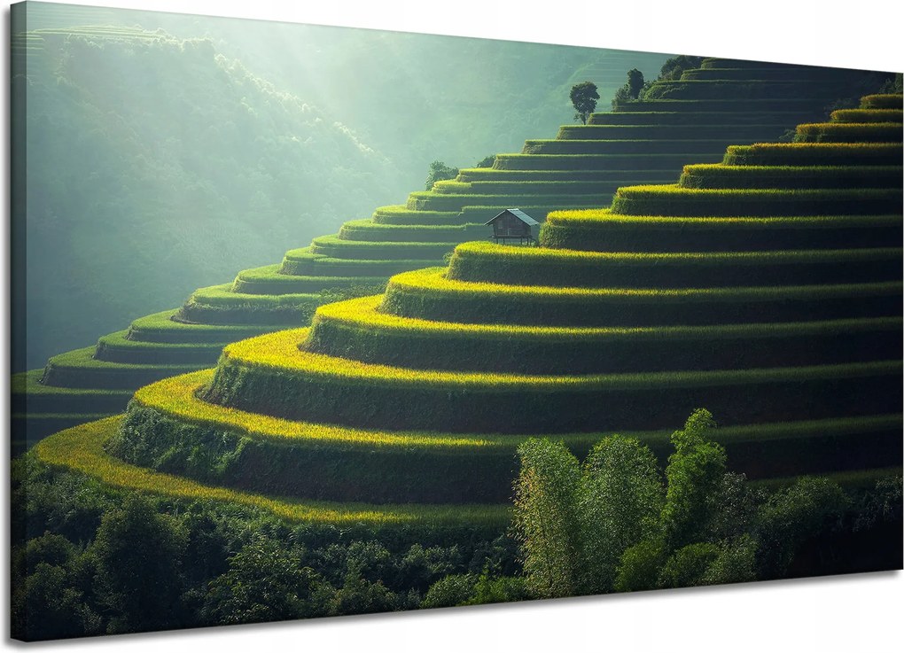 Vászonkép Természet Teraszok Mezőgazdaság 120x70 cm