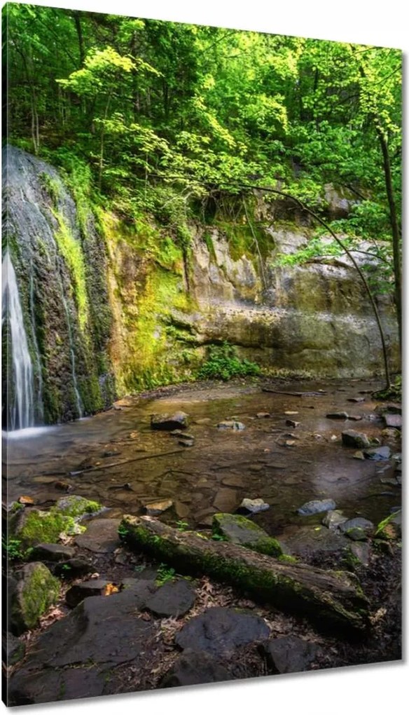 Vászonkép 80x120 Trópusi erdő vízesés