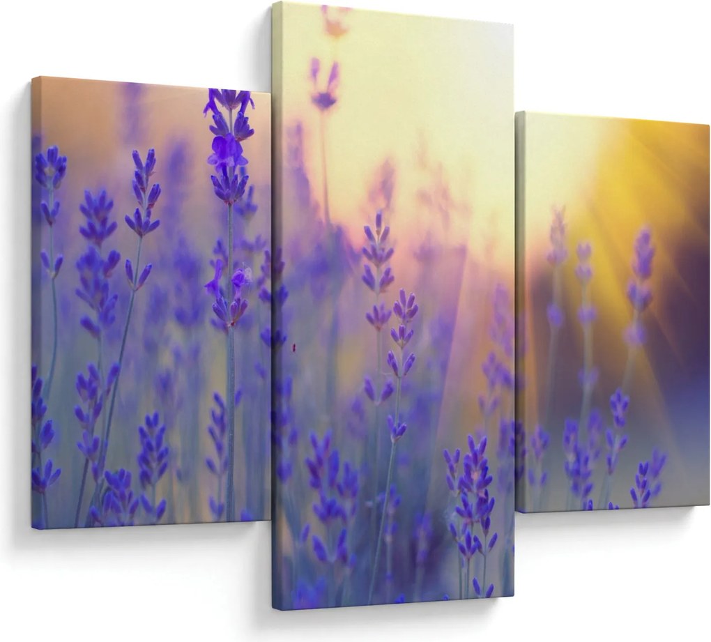 Kép - Levendula (90x60 cm)