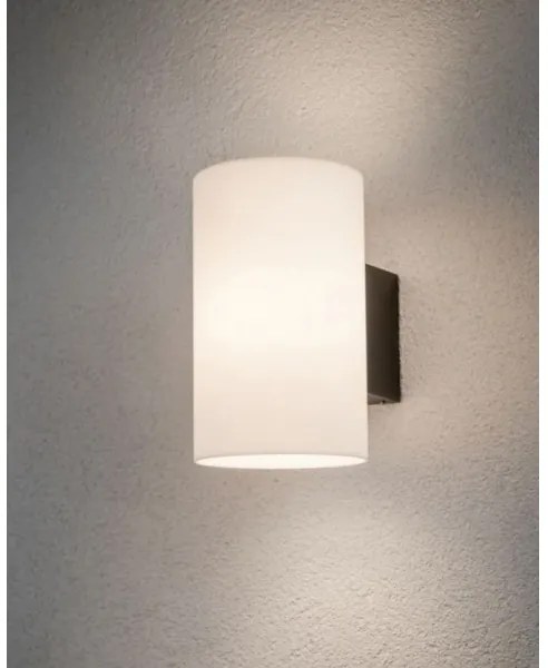 Paulmann 94186 - 1xE27/15W IP54 Kültéri fali lámpa TUBE 230V