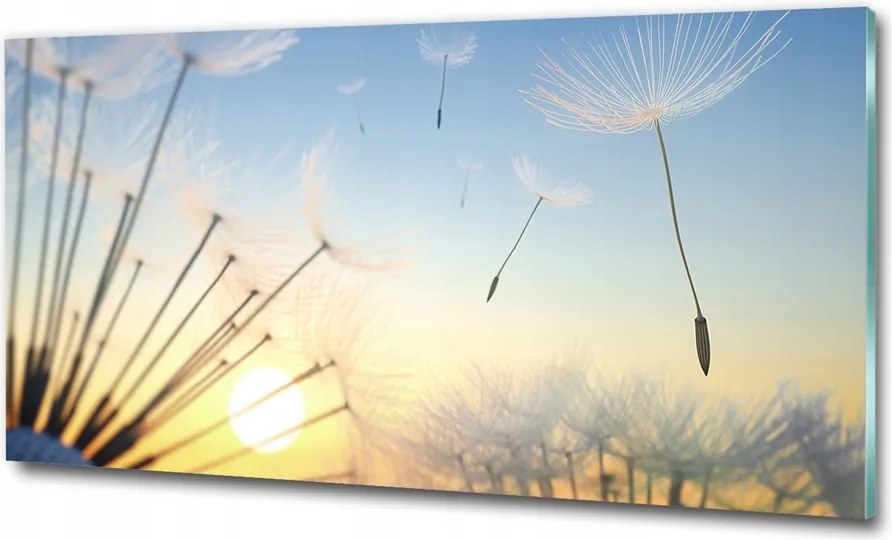 Fotó kép edzett üveg pitypang 125x50