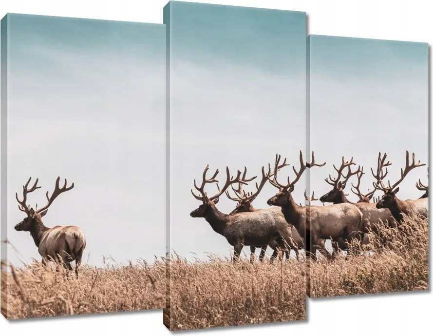 Vászonkép 90x70 Szarvasok felhője