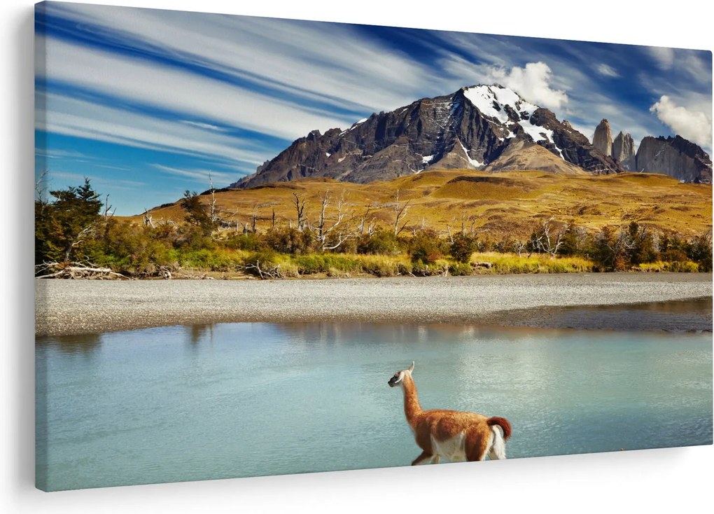 Kép - Torres del Paine Nemzeti Park (90x60 cm)