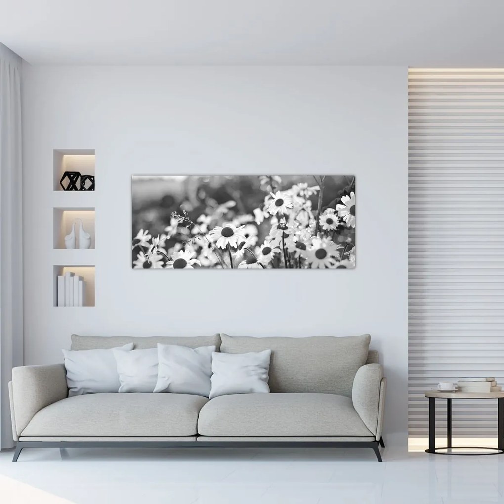 Kép - Százszorszépek (120x50 cm)