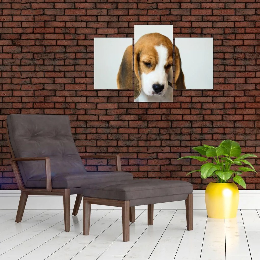 Beagle képe (90x60 cm)