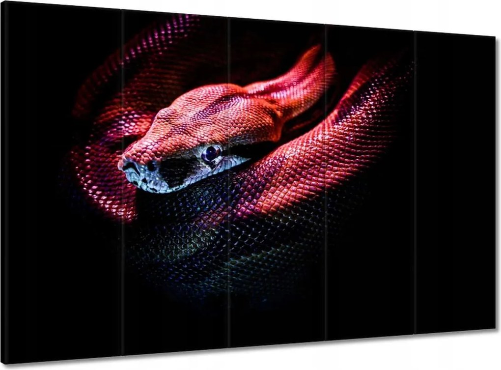 Vászonkép 100x70 Vörös kígyó