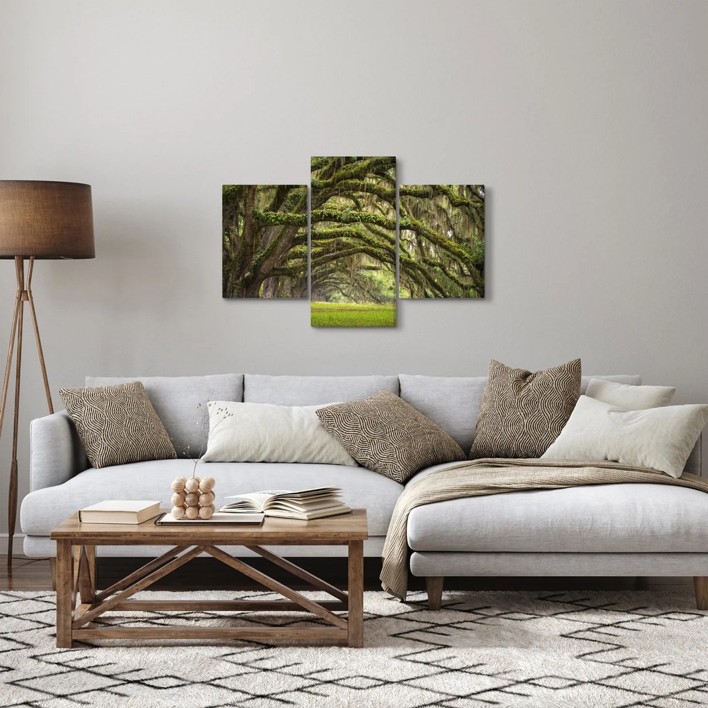 Kép - Oaks Avenue, Charleston, Dél-Karolina, Egyesült Államok (90x60 cm)
