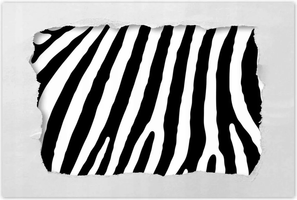 Poszterek 60x40 Zebra csíkos