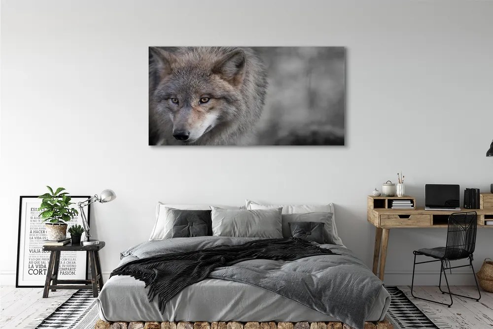 Canvas képek Farkas 125x50 cm