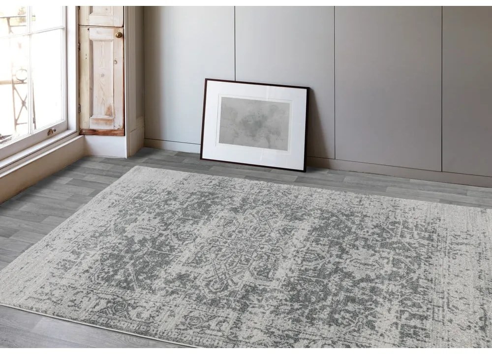 Szürke szőnyeg 120x170 cm Nova – Asiatic Carpets