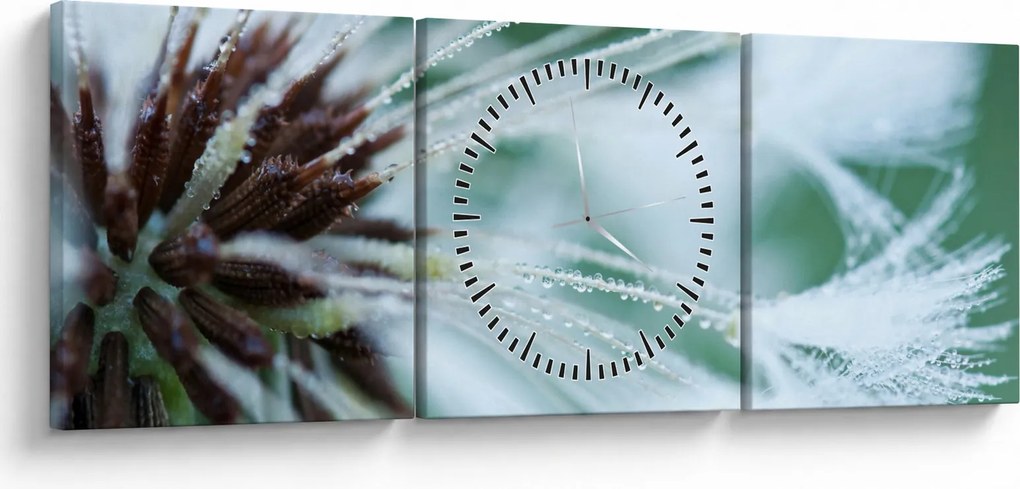 Kép - Egy virág részlete (órával) (90x30 cm)