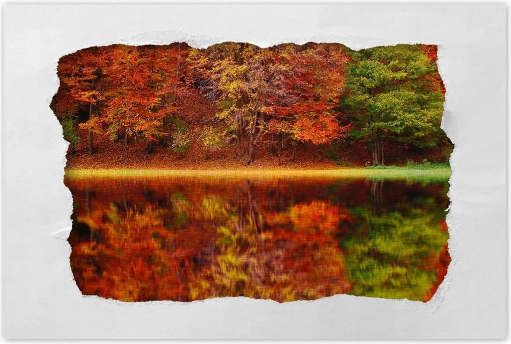 Poszterek 60x40 Őszi táj