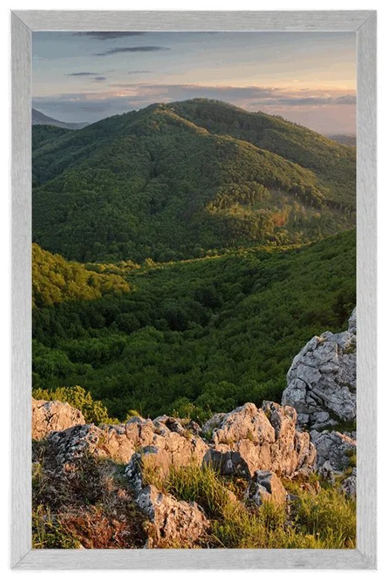 Poszter napsugaras természet