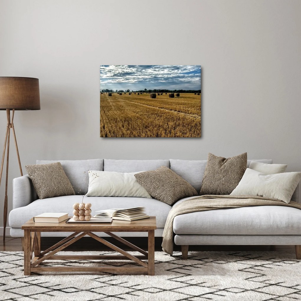 Betakarított gabona mező képe (70x50 cm)