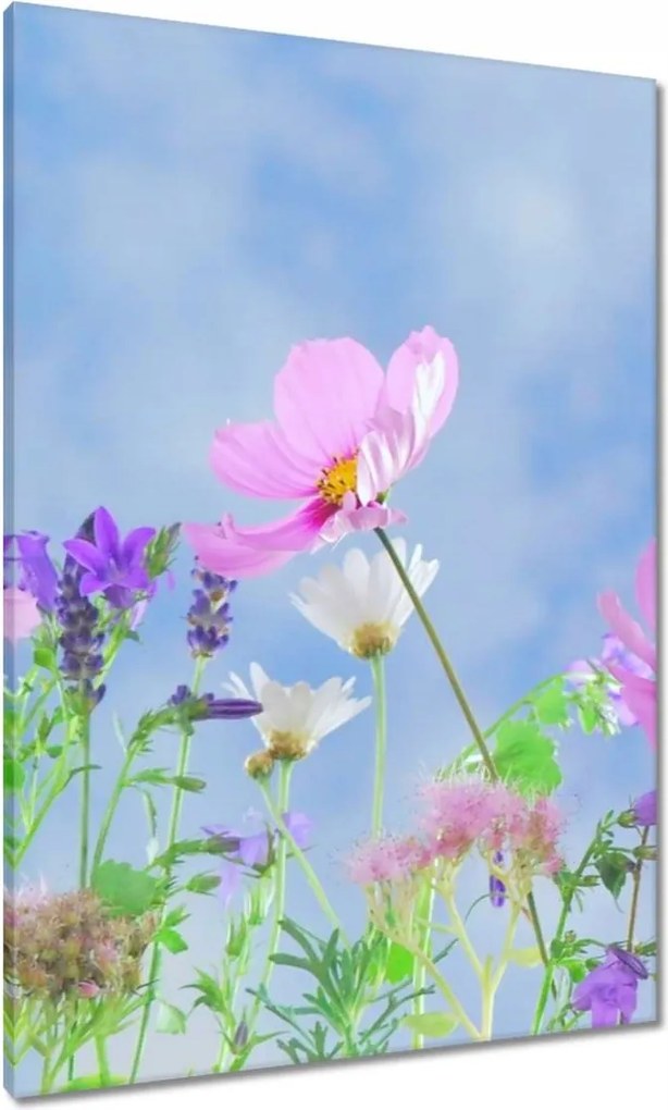 Vászonkép 70x100 Finom virágok