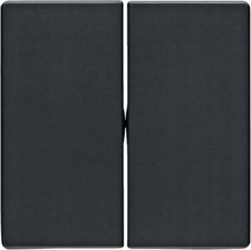 Berker Q1/Q3/Q7 antracit dupla billentyű