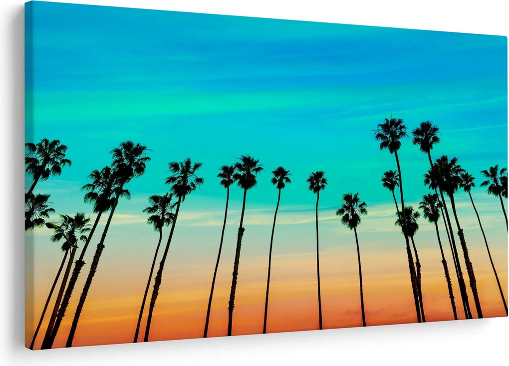Kép - Kalifornia (90x60 cm)