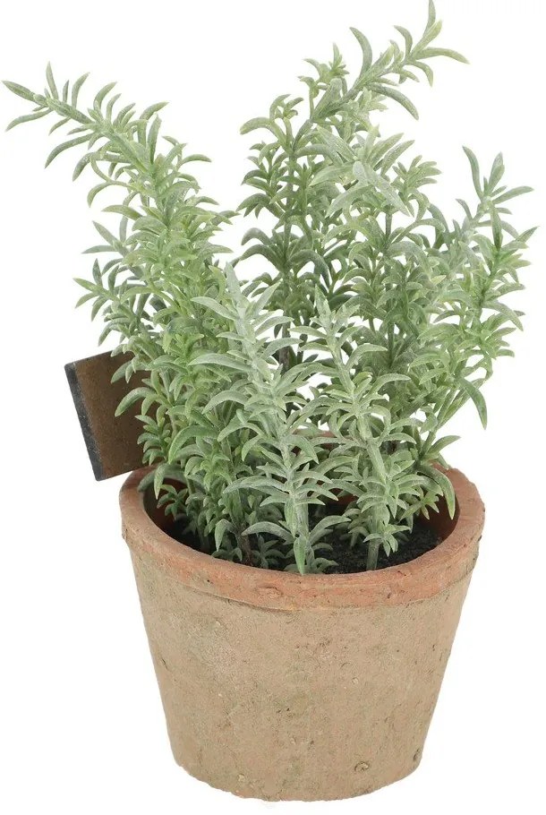 Műnövény (magasság 21,5 cm) Thyme – Esschert Design