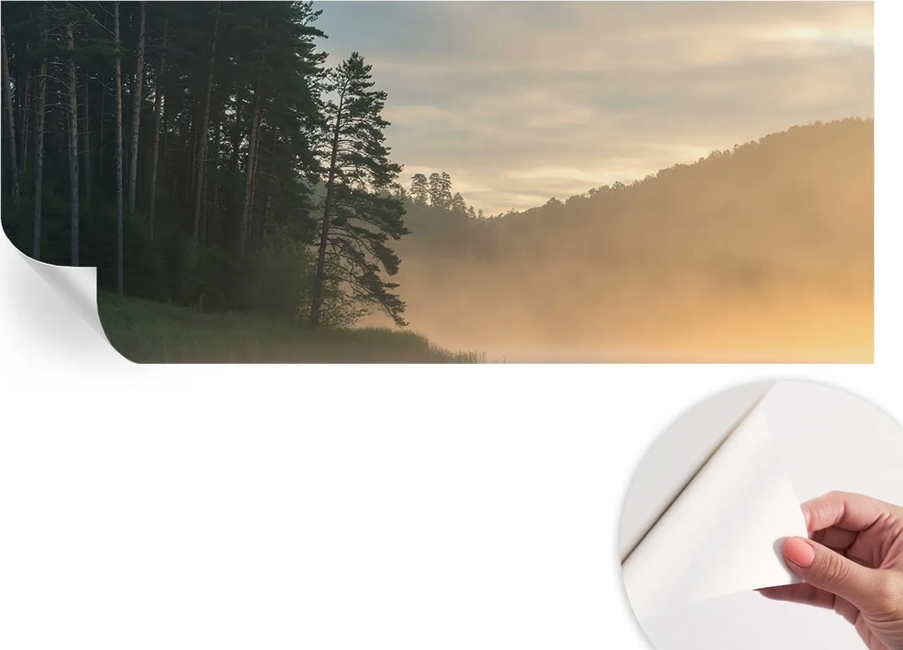 Design fali fotótapéta Öntapadós Ködös reggel 250x104 cm