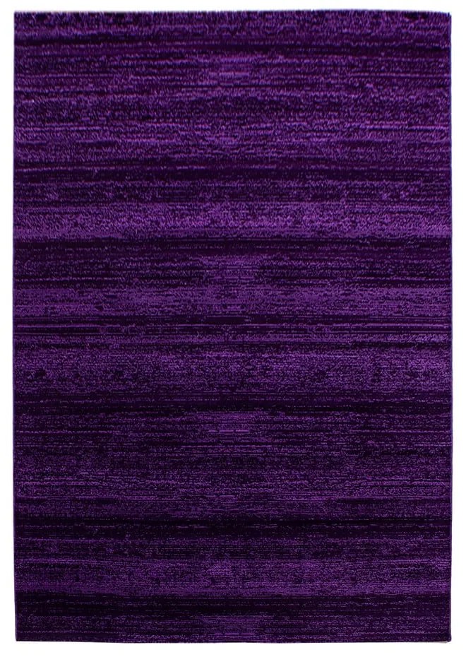 Sötétlila szőnyeg 160x230 cm Plus – Ayyildiz Carpets