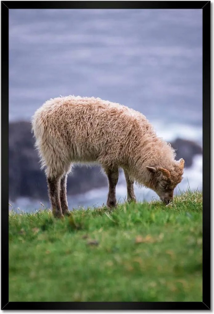 Poszterek keretben 40x60 Juh legeltetés Bárányok