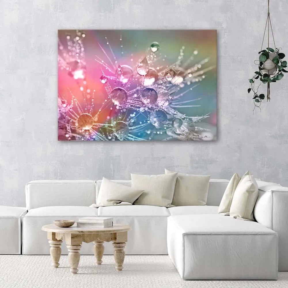 Gario Vászonkép Vízcseppek a pitypangon Méret: 90 x 60 cm