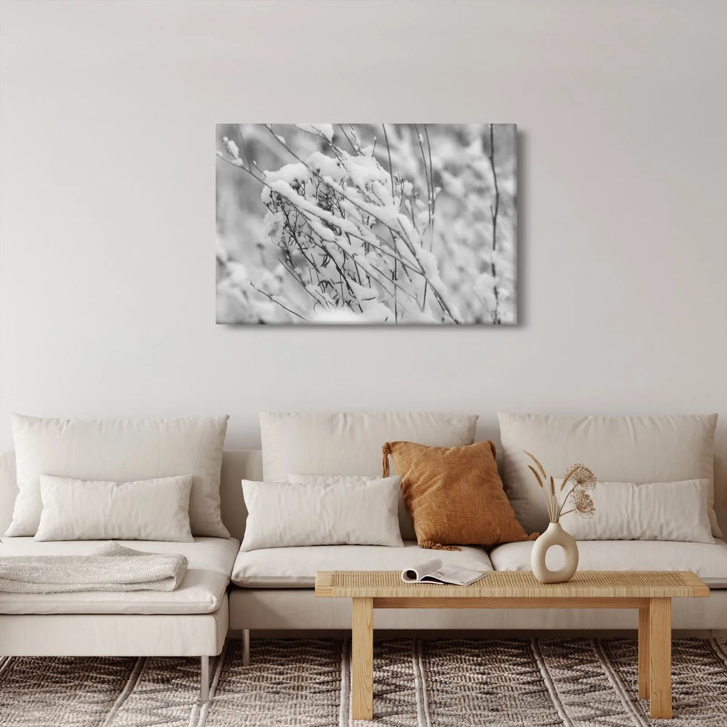 Kép - Havas ágak (90x60 cm)