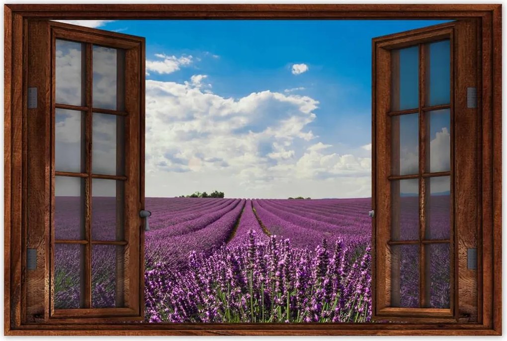 Poszterek 120x80 Levendulamező Levendula