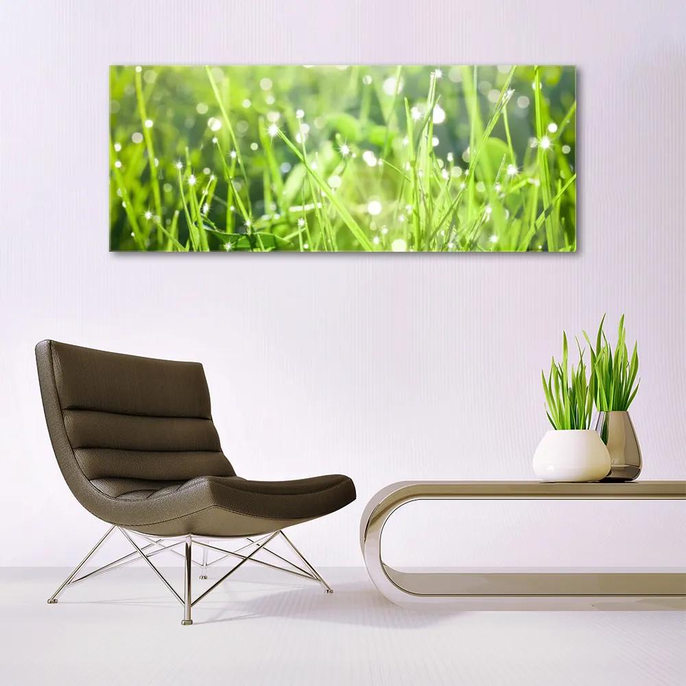 Üvegkép Grass Nature Plant 100x50 cm