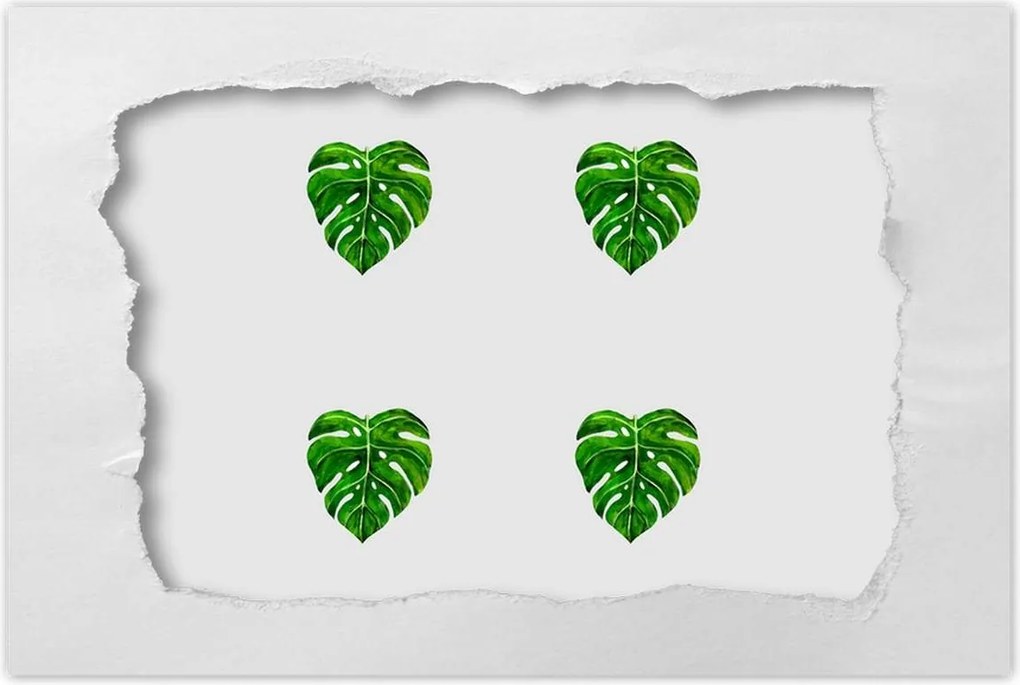Poszterek 90x60 Monstera Lyukas levelek