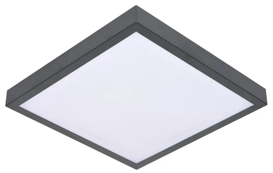 Mennyezeti lámpa VITAL 2xE27/60W/230V antracit