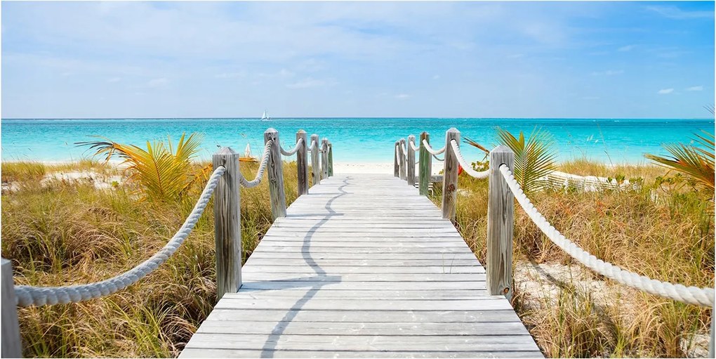 Fotó üvegkép Ösvény a tengerparton 140x70