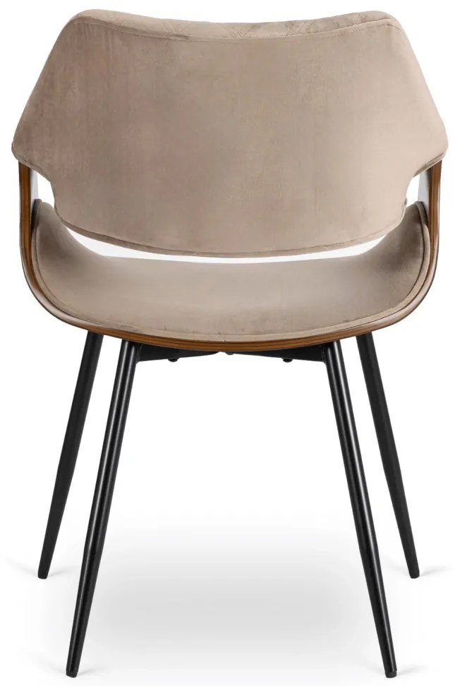 Elegáns Bársony Étkezőszék Bézs/Dió Színben. DAKOTA
