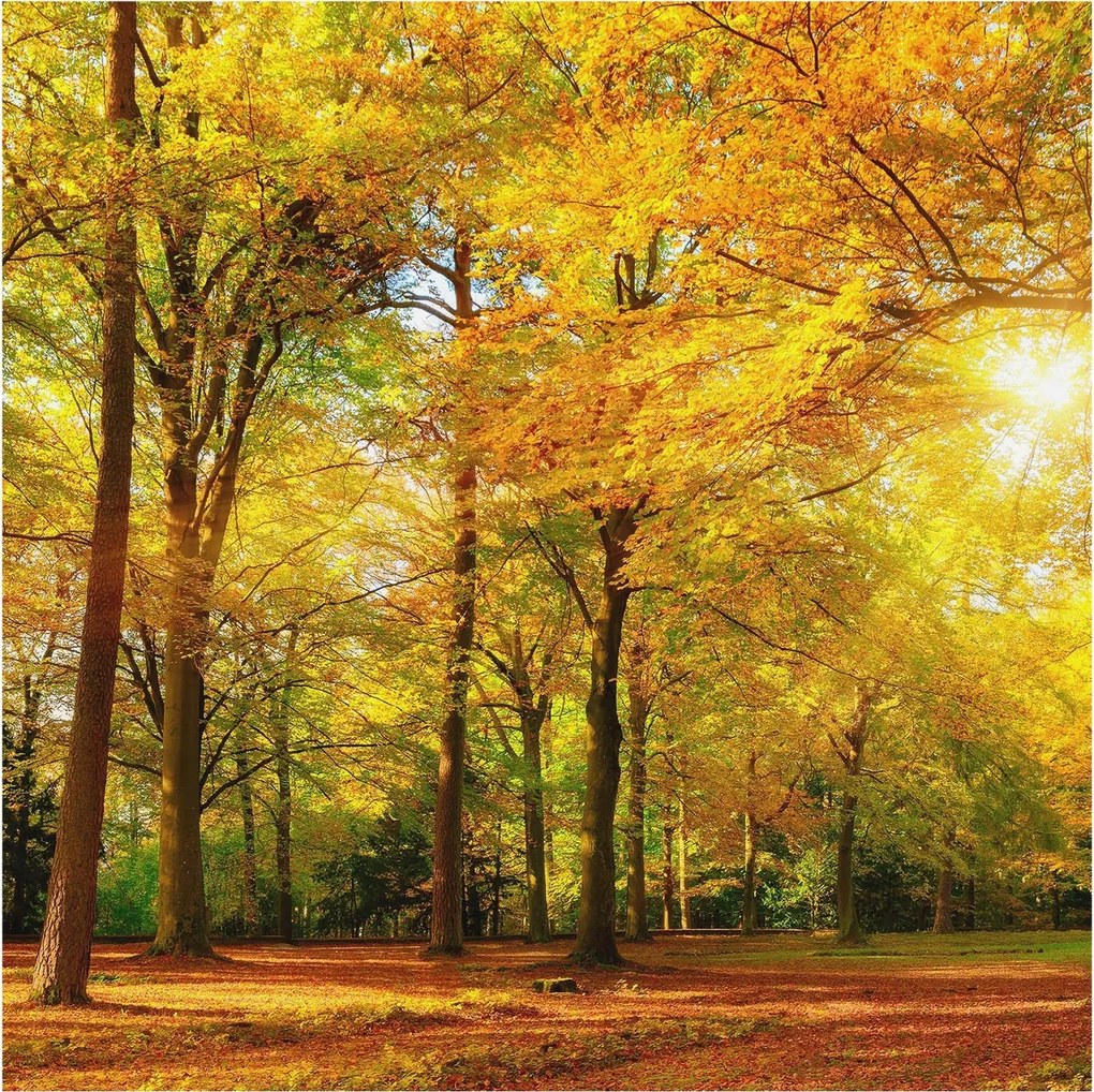 Fotótapéta Flizelin Hálószoba és Nappali Tapéta Arany levelek 250x250