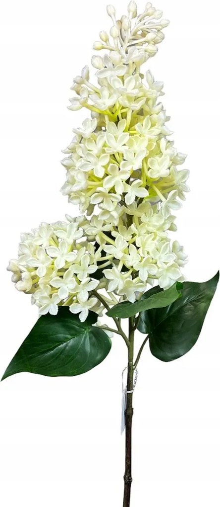 Gumi Szilikon Krémszínű lilakáposzta virág nélkül bodza valódi touch Krémszínű