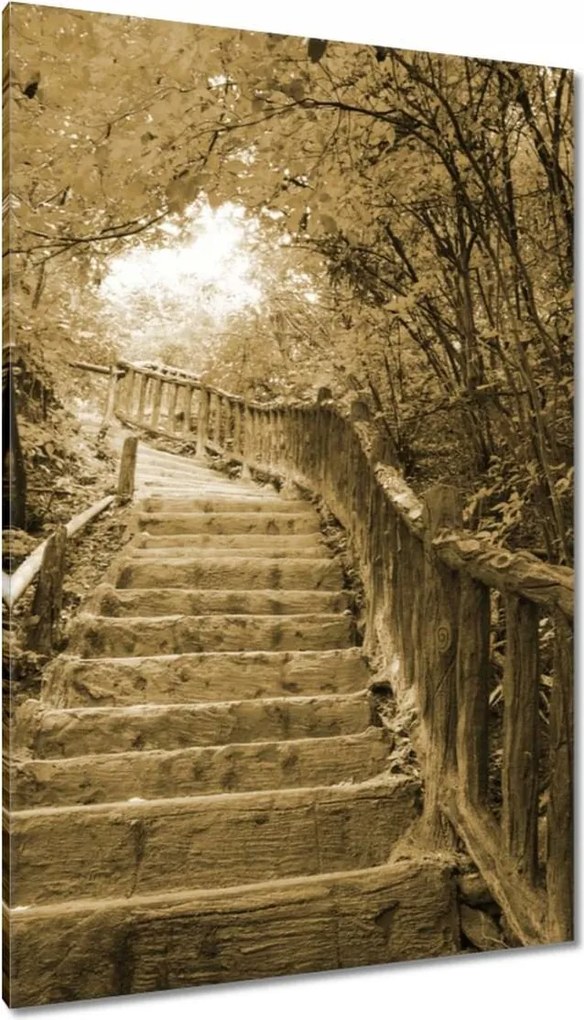 Vászonkép 80x120 Lépcsők szépia színben