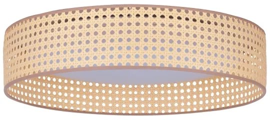 Duolla - LED Mennyezeti lámpa ROLLER LED/24W/230V átm. 45 cm rattan