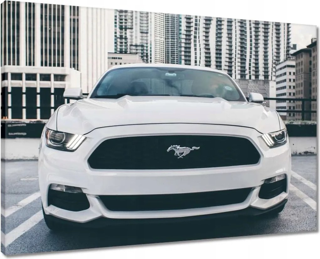 Vászonkép 70x50 Ford Mustang Usa autó