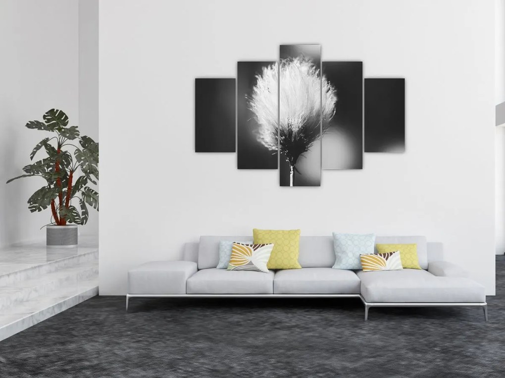 Kép - Fekete-fehér pamutfű (150x105 cm)