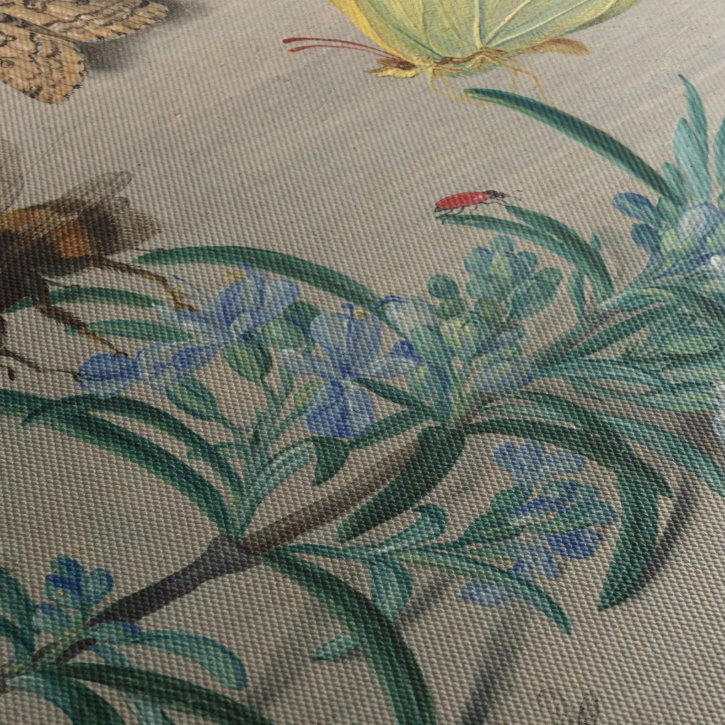 Kép - Jan van Kessel the Elder, Insects and a Sprig of Rosemary, reprodukciók (90x60 cm)