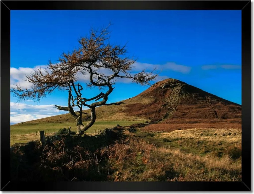 Poszterek keretben 40x30 Elpusztíthatatlan fa