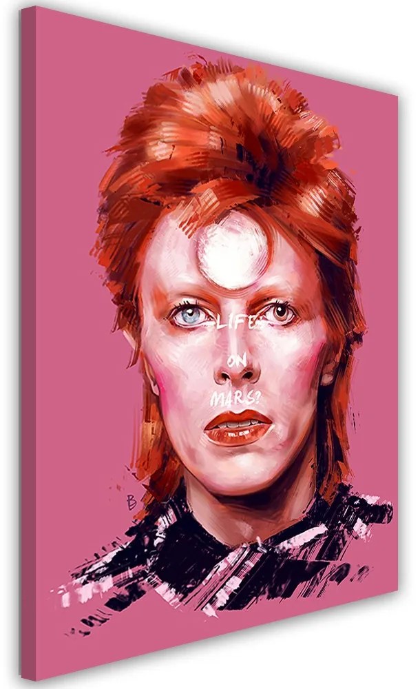 Gario Vászonkép Portré David Bowie - Dmitry Belov Méret: 60 x 90 cm