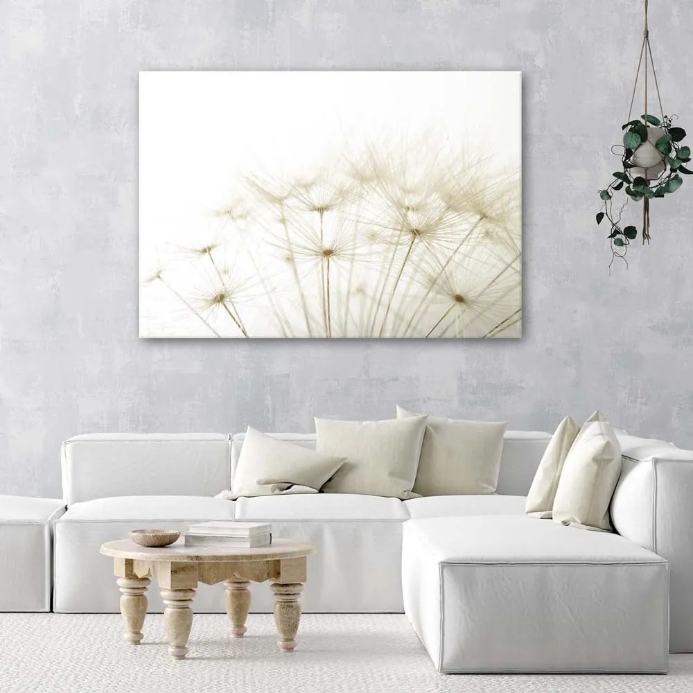 Gario Vászonkép Közeli Vászonkép a pitypangról Méret: 100 x 70 cm