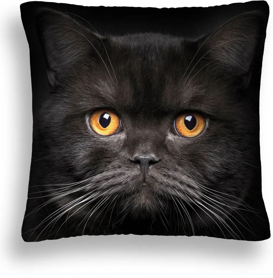 Macska Párna 38 Komoly Sárga Szem Bajusz 50x50